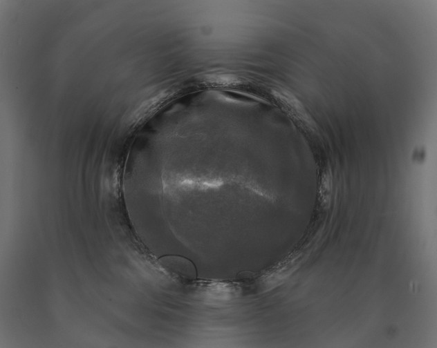 X0000090770330200708031658