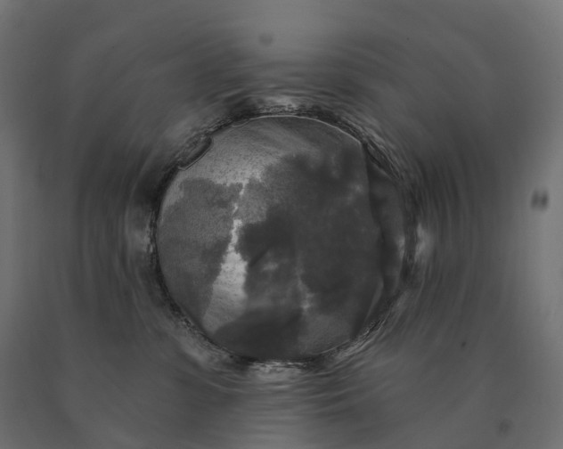 X0000090770331200708031658