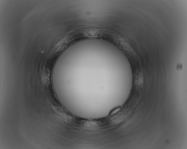 X0000090770332200708031658