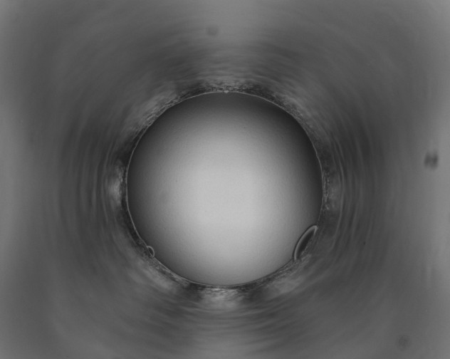 X0000090770334200708031658