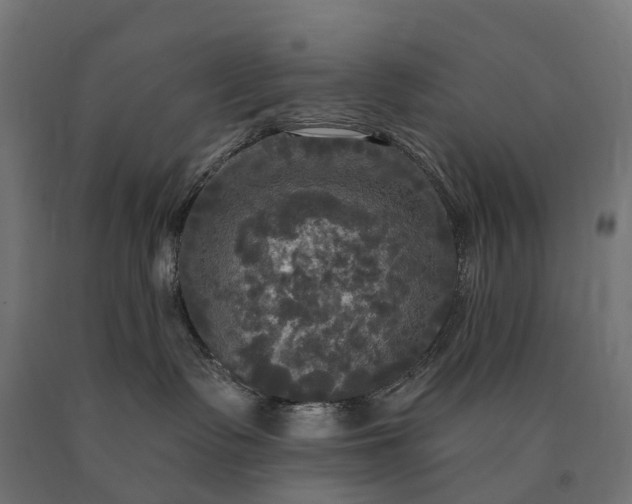 X0000090770335200708031658