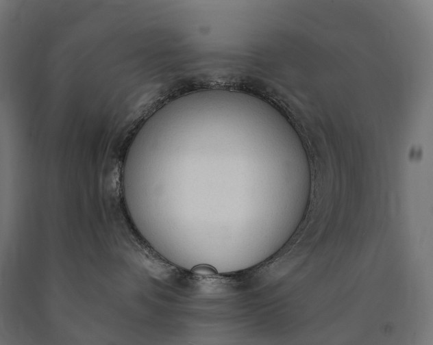 X0000090770336200708031658