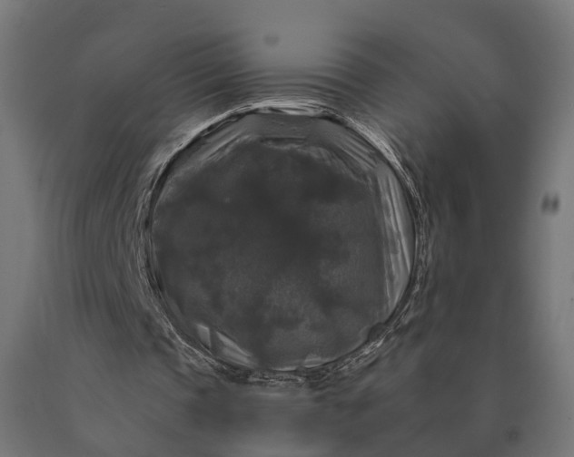 X0000090770337200708031657