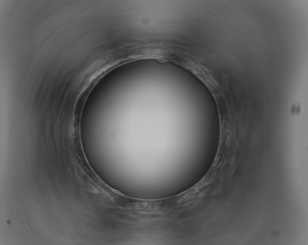 X0000090770338200708031657