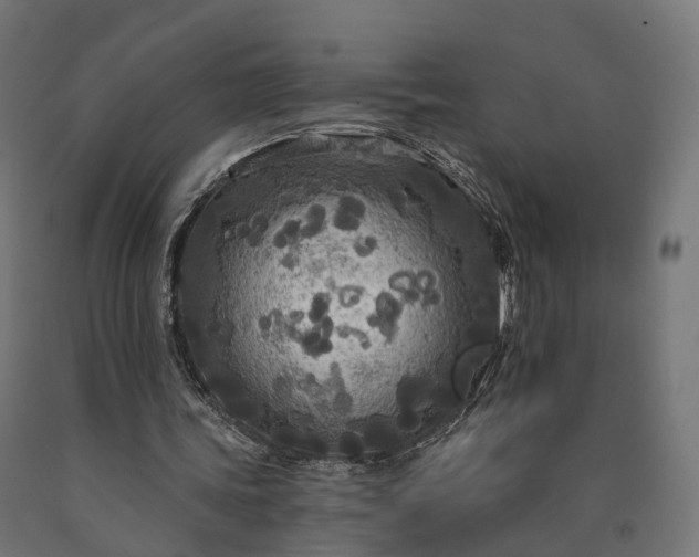 X0000090770339200708031657