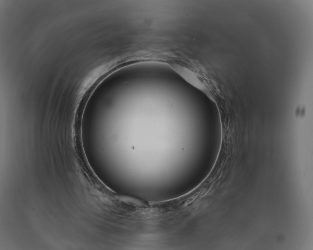 X0000090770340200708031657