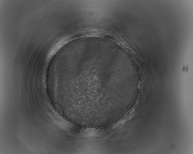 X0000090770341200708031657