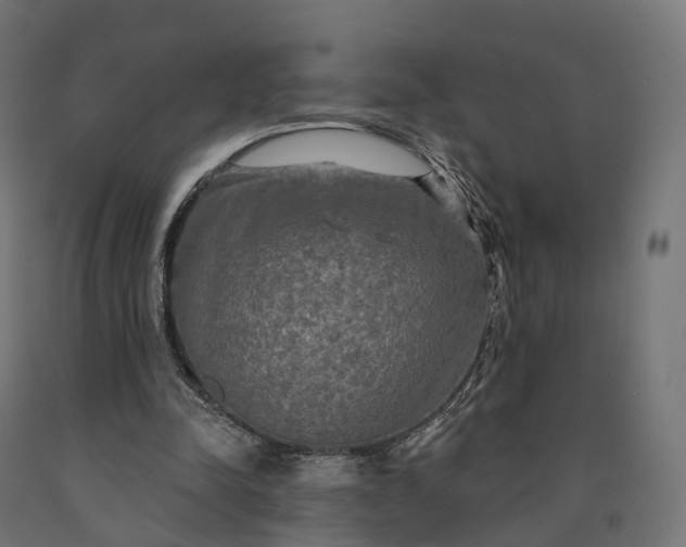 X0000090770342200708031657