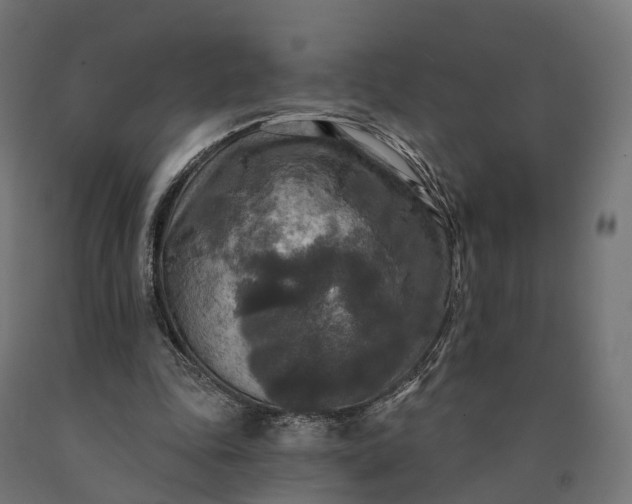 X0000090770343200708031657