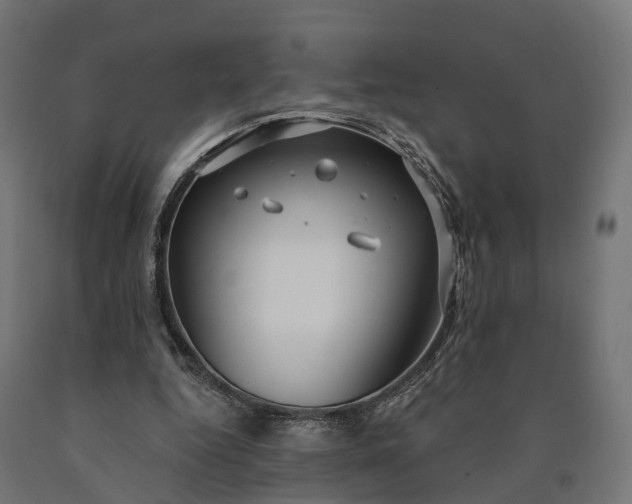 X0000090770344200708031657