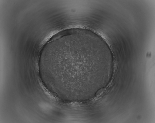 X0000090770345200708031657
