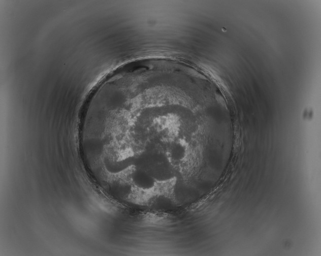 X0000090770346200708031657