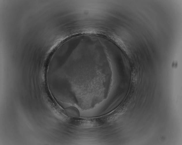 X0000090770347200708031657