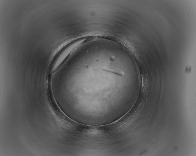X0000090770348200708031657