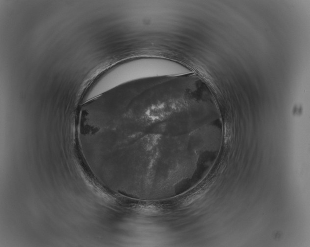 X0000090770349200708031657