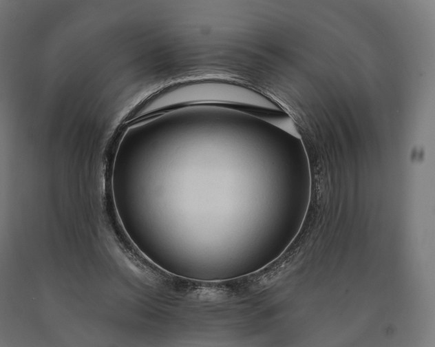X0000090770350200708031657