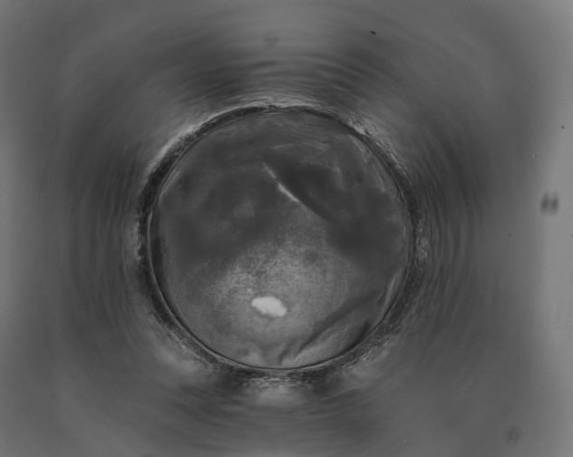 X0000090770351200708031657