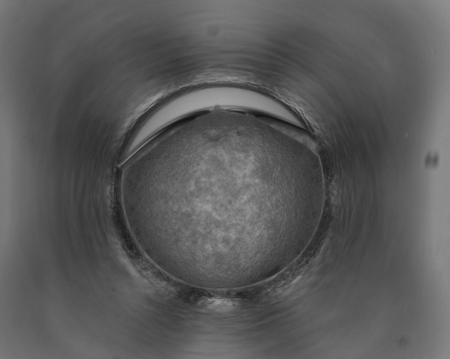 X0000090770352200708031657