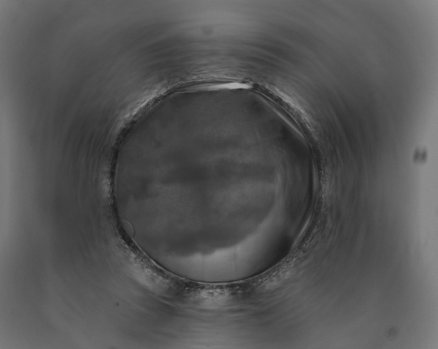 X0000090770353200708031657