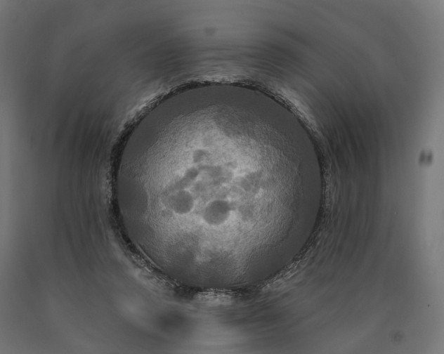 X0000090770354200708031657