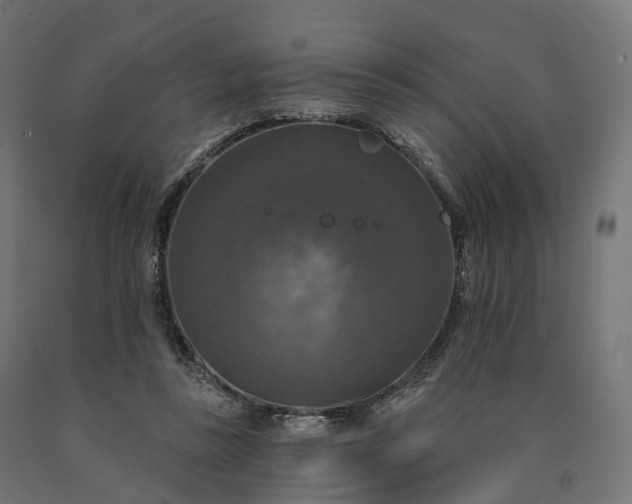 X0000090770355200708031657