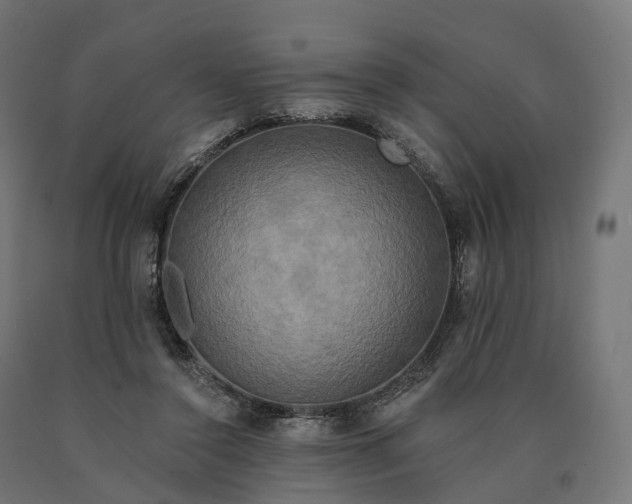X0000090770356200708031657