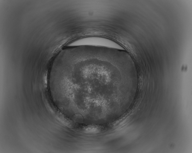 X0000090770358200708031658