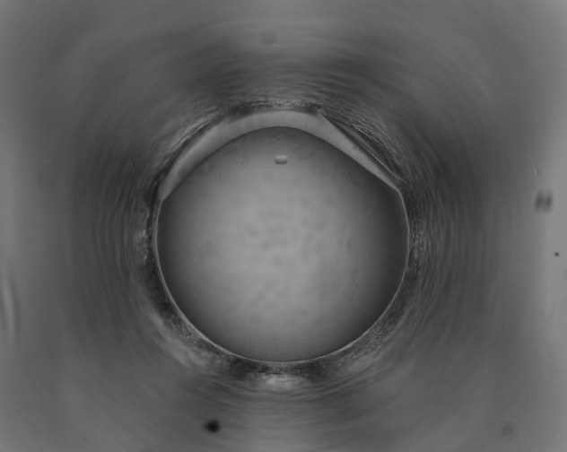 X0000090770360200708031658