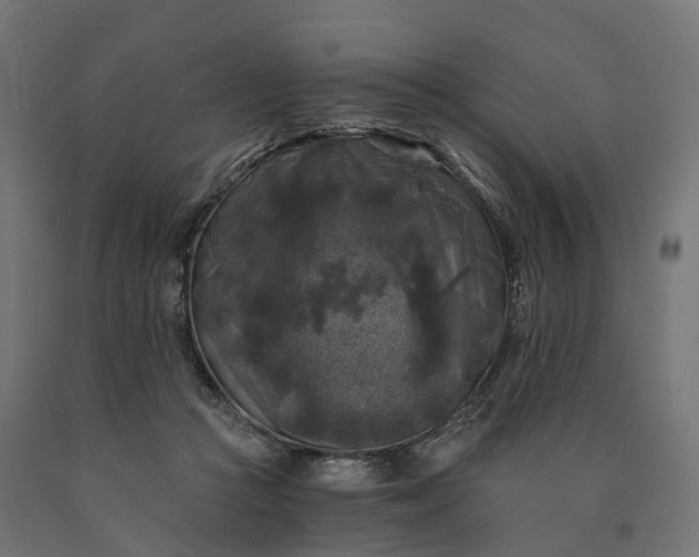 X0000090770361200708031658