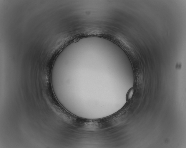 X0000090770362200708031658