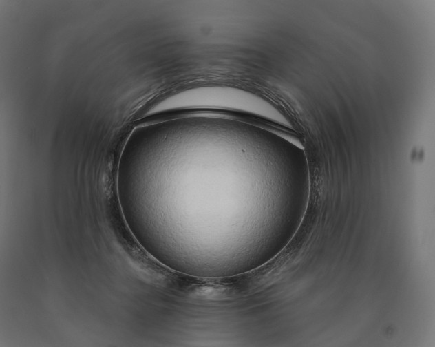 X0000090770364200708031658