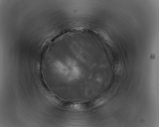 X0000090770365200708031658