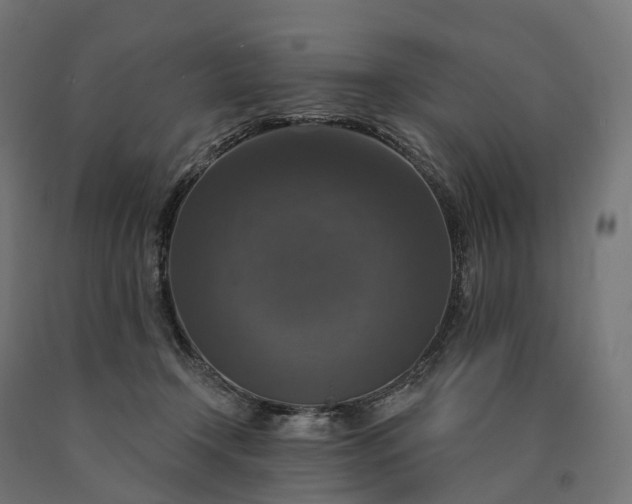 X0000090770366200708031658