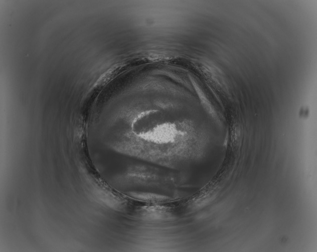 X0000090770367200708031658