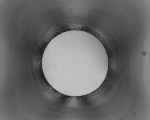 X0000090770370200708031658