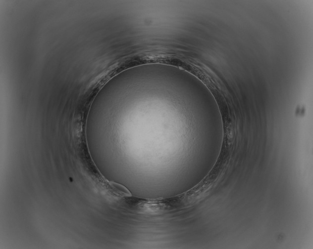 X0000090770372200708031658