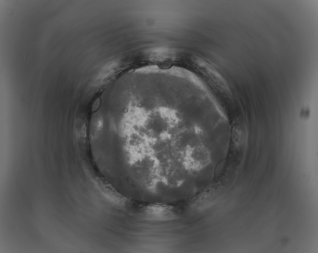 X0000090770375200708031658