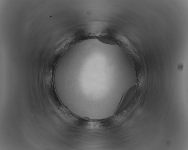 X0000090770376200708031658