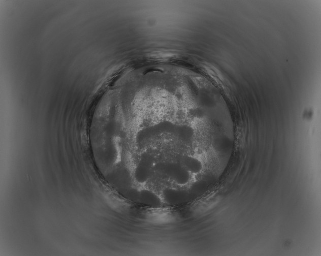 X0000090770377200708031658