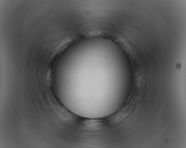 X0000090770378200708031658