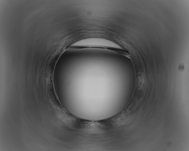 X0000090770379200708031658
