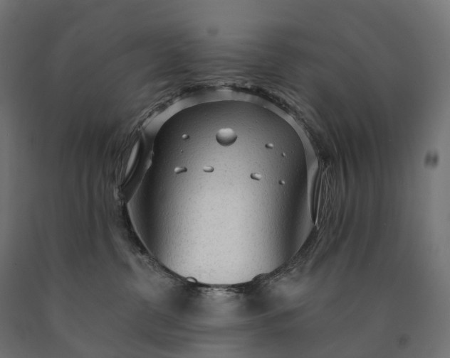X0000090770380200708031658