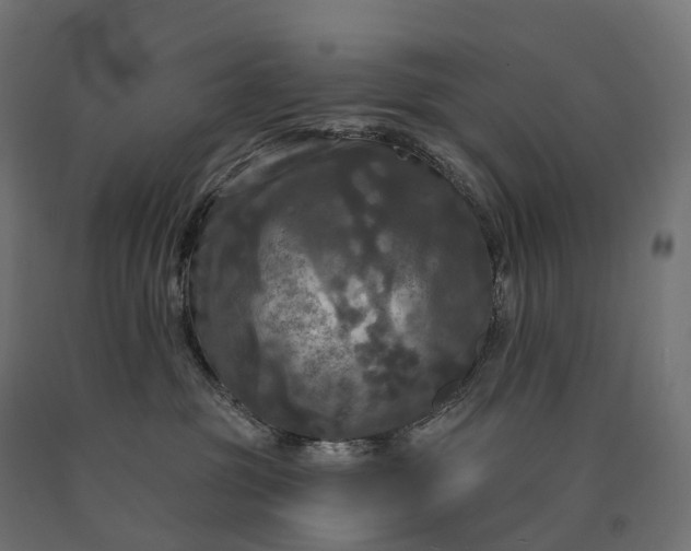 X0000090770381200708031658