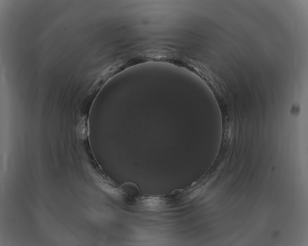 X0000090770383200708031658