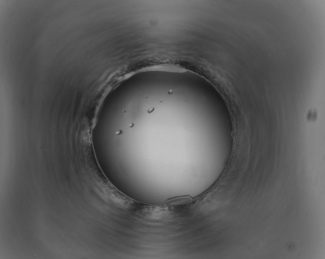 X0000090770384200708031658