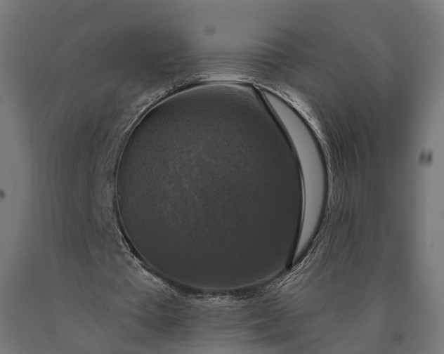 X0000090770385200708031657