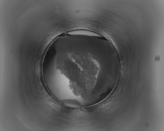 X0000090770386200708031657