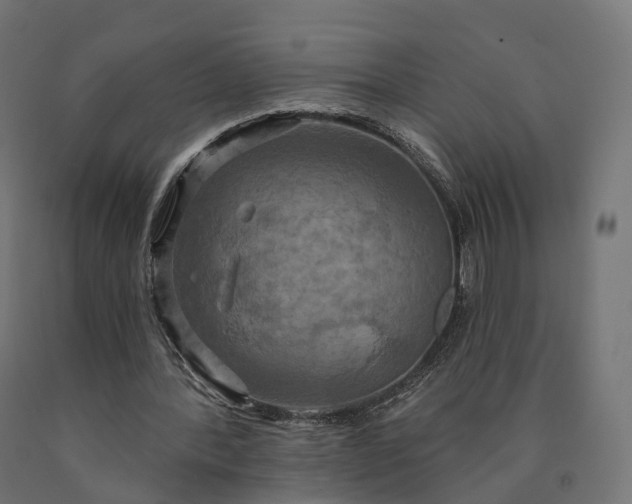 X0000090770388200708031657