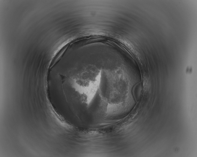X0000090770390200708031657