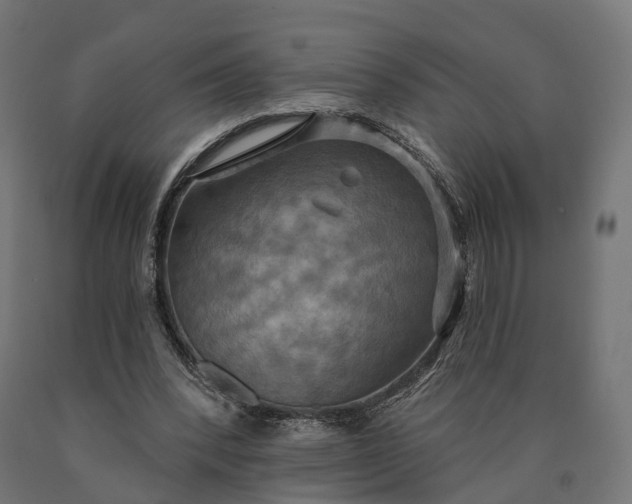 X0000090770392200708031657